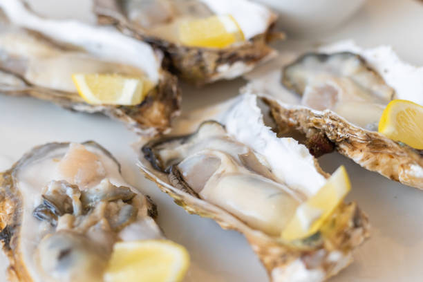 istock Fresh raw oysters served in their shell ready to eat 1477961844
