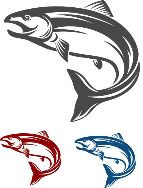 bildbanksillustrationer, clip art samt tecknat material och ikoner med salmon fish - freshwater