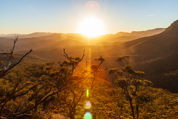 istock Sun setting over treetops and rolling mountain landscape in golden light 1477968178