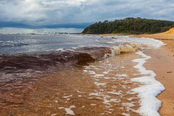 istock Brown water small tidal wave breaking on river bank after rain 1477968319