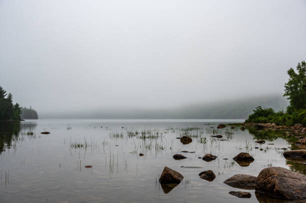 wasserrand des jordan pond im acadia national park, maine, usa mit nebel in der ferne - treelined forest at the edge of scenics stock-fotos und bilder