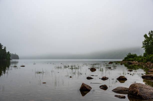 bord des eaux de l’étang jordan dans le parc national acadia, maine, états-unis avec du brouillard s’installant au loin - treelined forest at the edge of scenics photos et images de collection