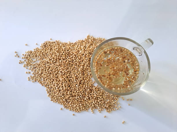 istock coriander seeds isolated on white. Coriander seed cup of water 1477971205