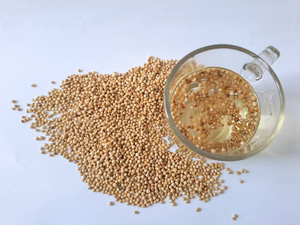 istock coriander seeds isolated on white. Coriander seed cup of water 1477971222