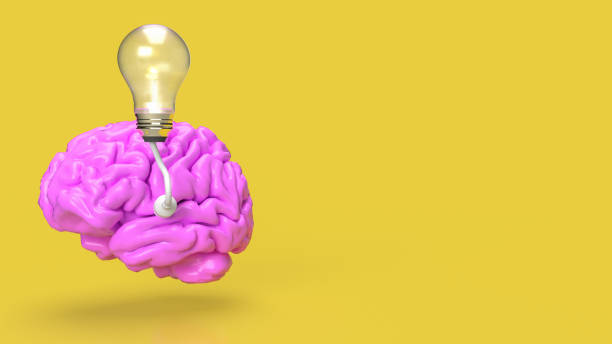 istock The pink Brain and light bulb on yellow background for creative or idea concept 3d rendering 1477971283