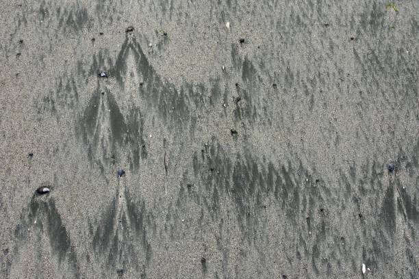 istock Natural patterns look like pointed mountains in the sand at low tide 1477971541