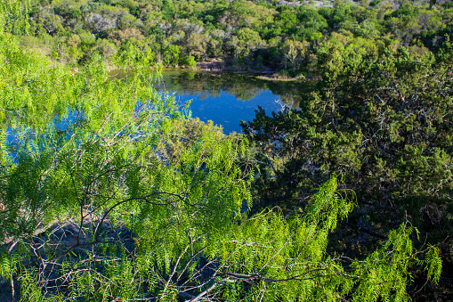Lime green Honey Mesquite blossoms with a lake in the valley below.  Spring in the Texas Hill Country is a beautiful experience.  This photo was taken at Inks Lake State Park, Burnet Texas.
