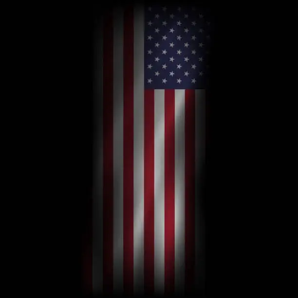 Vector illustration of USA waving flag black grunge mesh