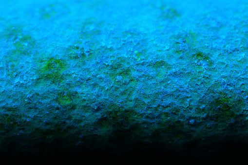 Materials inspired by deep-sea coral reef (Image retouched blue and green mixed photography)