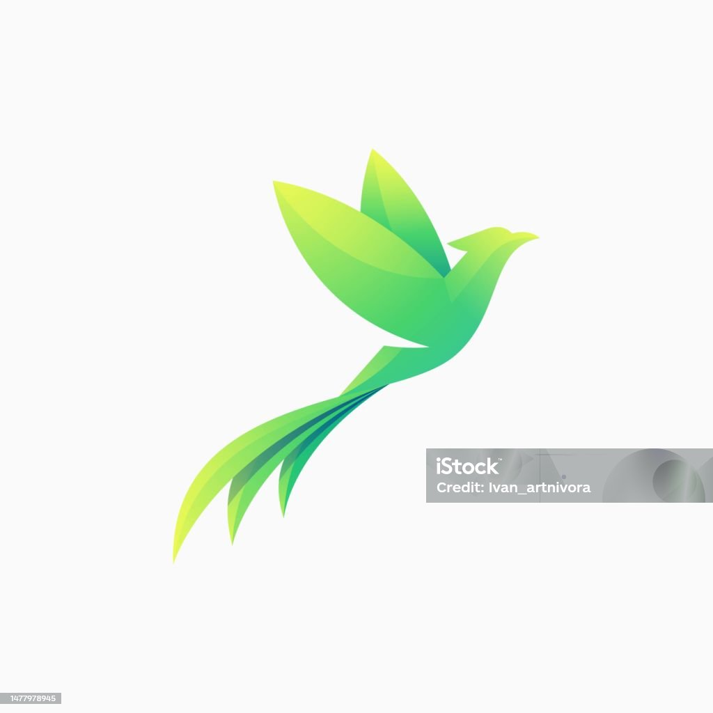 Pheasant Gradient Vector Illustration Nature Bird Gradient Colorful Style Stock ...