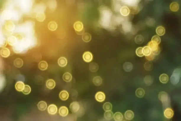 Photo of Abstract bright and blurry bokeh with summer natural sunlight in outdoor garden  for holiday festive background.