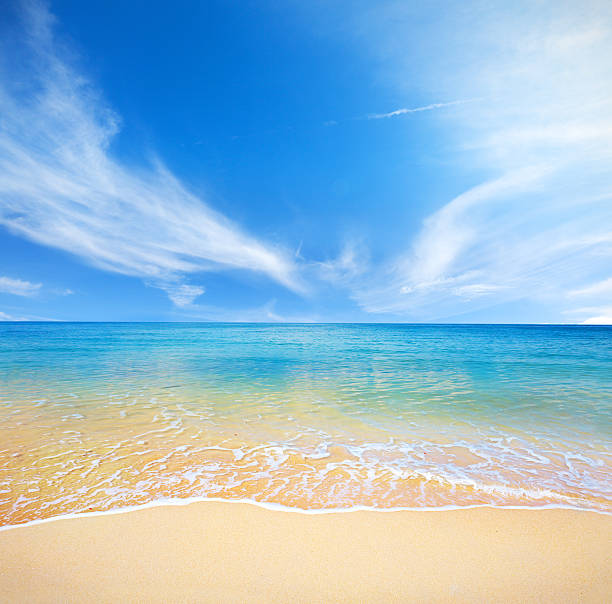 istock beach and tropical sea 147798477