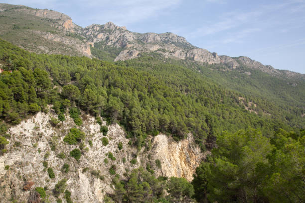 istock Pine Tree and Peaks in Aixorta Mountain Range; Guadalest; Alicante; Spain 1478003094