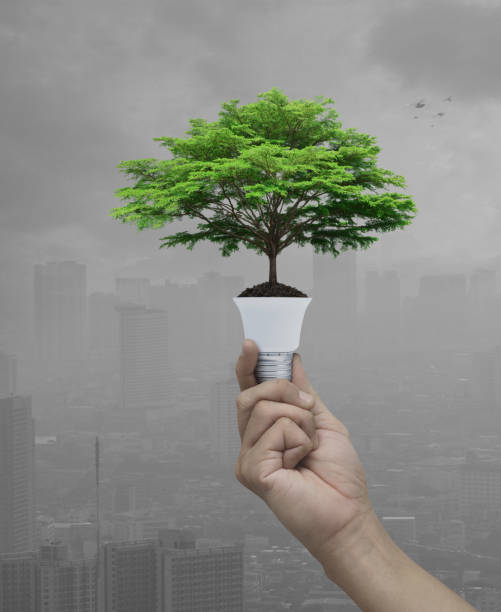 istock Green ecology and saving energy concept 1478003116