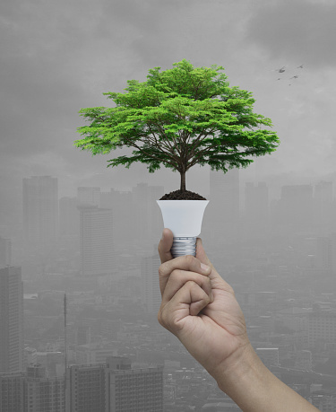 Hand holding big green tree on soil with light bulb over pollution city tower with birds, Green ecology and saving energy concept