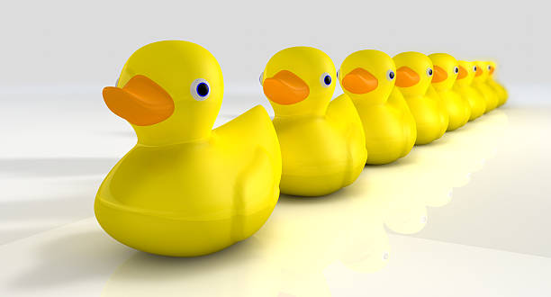 istock Get All Your Rubber Ducks In A Row 147800345