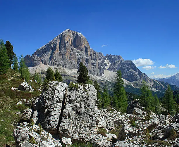 The famous and majestic Mt. Tofana di Rozes (3.225 meters) in Dolomites (Italy) during a spring day, with boulders and coniferous trees in foreground.