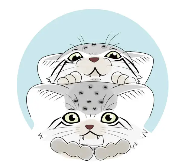 Vector illustration of This is an illustration of curious Manulneko kittens peeking at us.