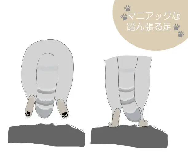 Vector illustration of This is an illustration of a maniacal manul cat's stomping feet and dangling legs in mid-air.