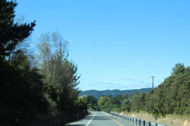 istock New Zealand 1478006625
