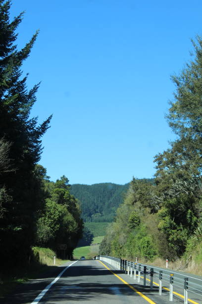 istock New Zealand 1478006640