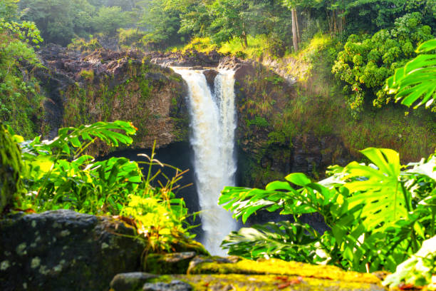 istock Wailuku River State Park Waterfall Surrounded by Lush Greenery 1478008986