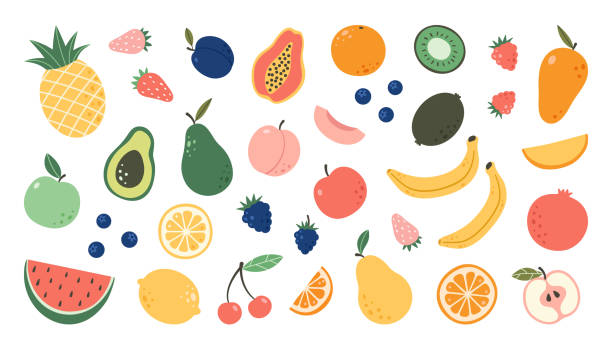 ilustraciones, imágenes clip art, dibujos animados e iconos de stock de coloque coloridas frutas de garabatos dibujadas a mano. frutas tropicales naturales. manzana, melocotón, limón, plátano, granada, piña, pera, aguacate, ciruela. ilustración de comida orgánica y vegana. - fruta