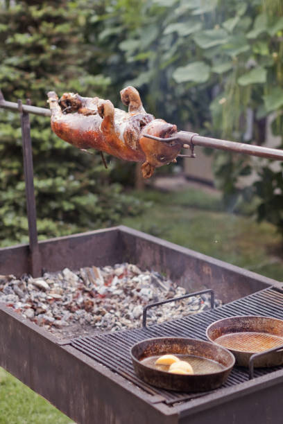 Grilled suckling little pig on barbecue Grilled suckling little pig on barbecue with shrimps. Grill festival with seafood, meat and vegetables. Local food market concept smoking meat rotisserie barbecue grill stock pictures, royalty-free photos & images