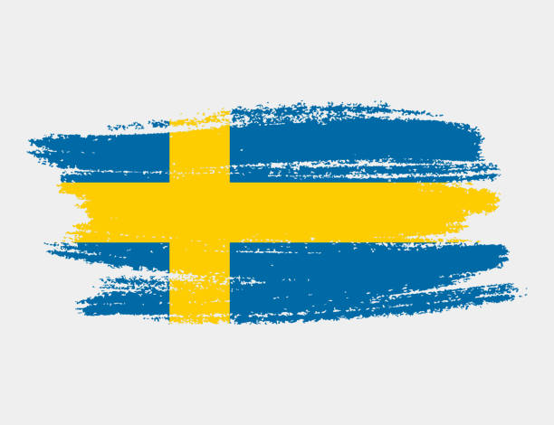 흰색 배경에 격리된 스웨덴의 예술적 그런지 브러시 깃발. 국가 국기의 우아한 질감 - 스웨덴 국기 stock illustrations