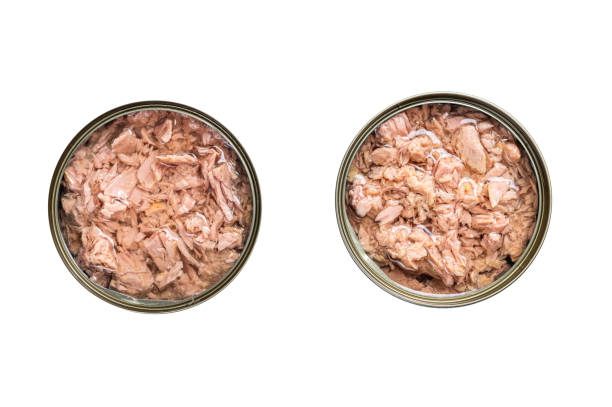 istock Open tin can with canned tuna fish.  Isolated on white background. 1478013838