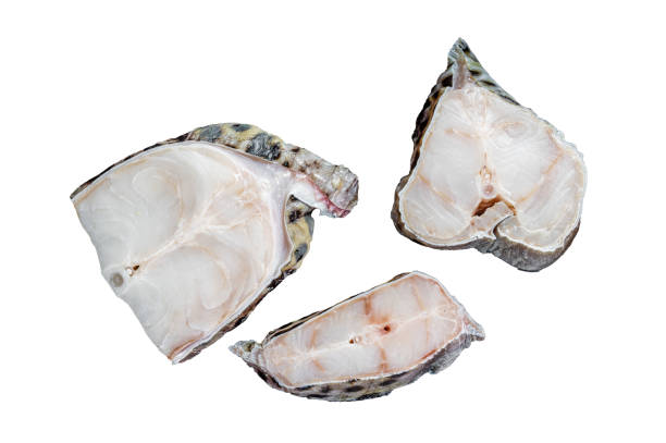istock Raw atlantic wolffish fish Steak.  Isolated on white background. 1478014044