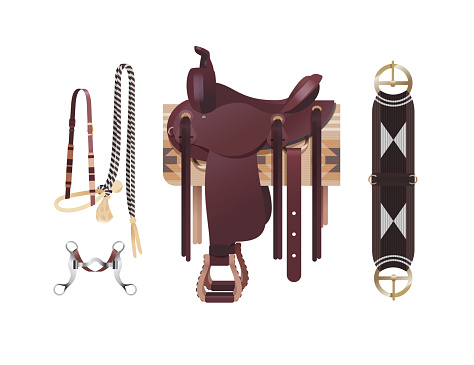 Western horse harness, dark brown cowboy saddle with blanket, cinch, bosal bridle and curb bit