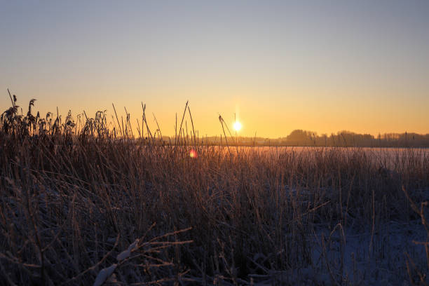 istock Sunset on the lake in winter 1478025524