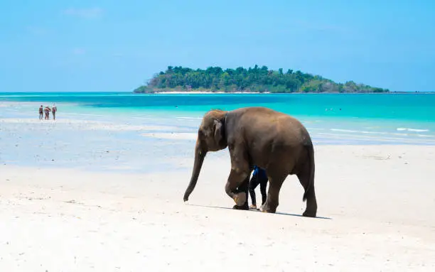 Photo of Summer at the white sand beach