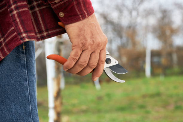 istock Male standing, holding pruner, scissors. 1478030748