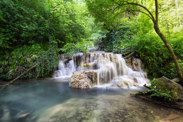 istock Beautiful waterfall in green forest, Krushuna falls, Bulgaria 1478033062