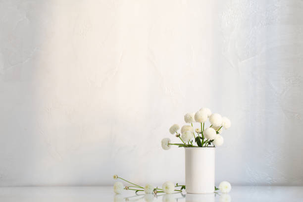 istock white chrysanthemums in vase on white background 1478034457