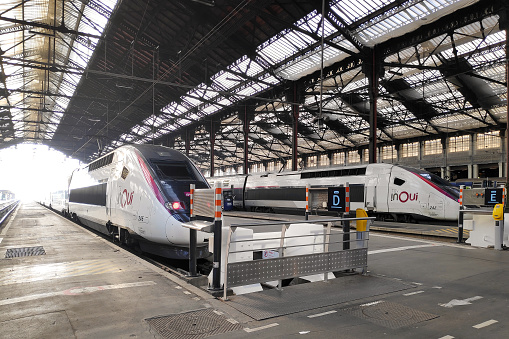 Paris, France - March 21 2019: Two TGVs side by side ready for departure in Gare de Lyon.