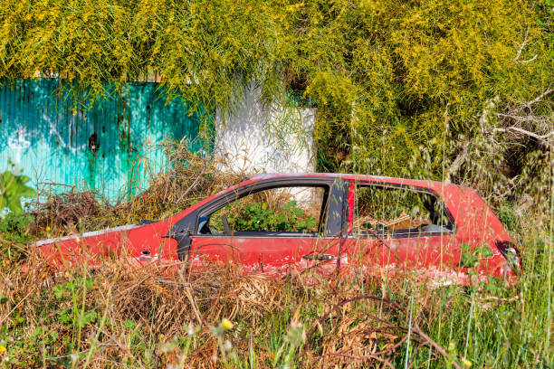 istock Abandoned Red Car Left to Rust and Decay on Roadside 1478035512