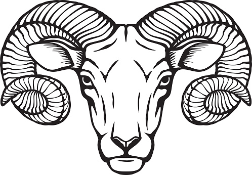Ram Head Black and White. Vector Illustration.