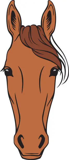 Vector illustration of Horse Head Color