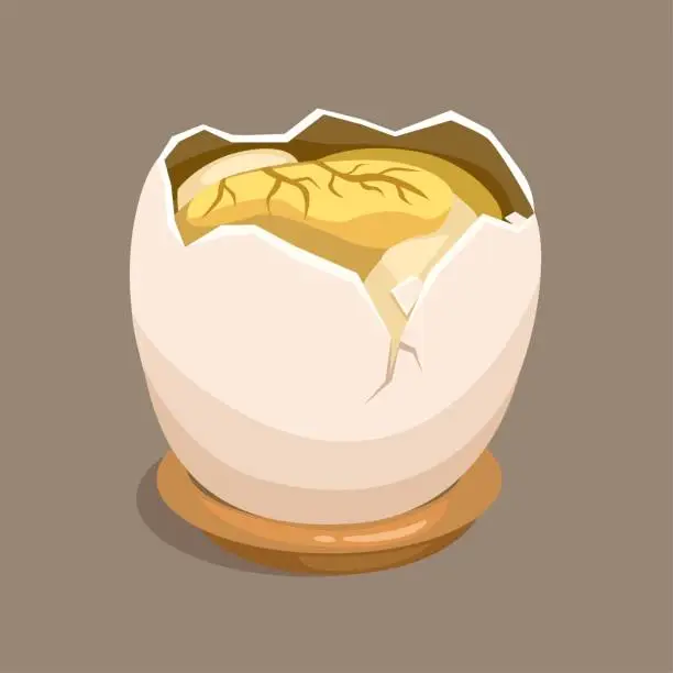 Vector illustration of Balut is Philipines traditional streed food from boiled or steamed egg embryo eaten from the shell cartoon illustration vector