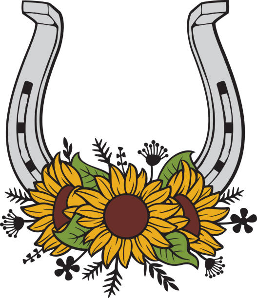 ilustrações, clipart, desenhos animados e ícones de ferradura com cor de girassóis (design floral) - horseshoe rusty nail old