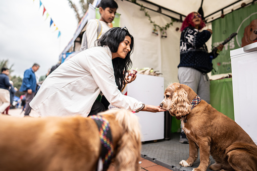 Mid adult woman petting and feeding the dog outdoors