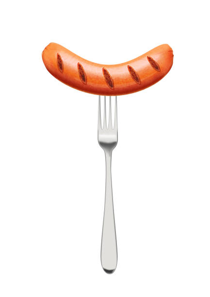 바베큐 튀긴 소시지 - sausage grilled isolated single object stock illustrations