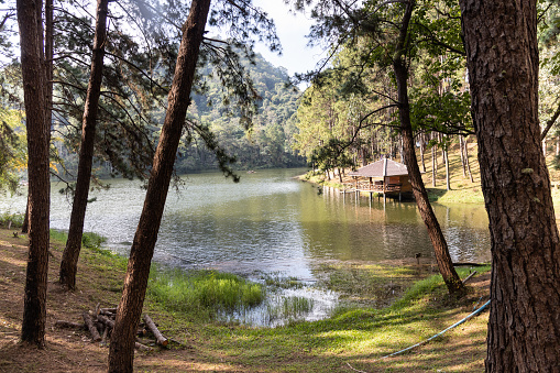Pang Ung is a tourist attraction in Mae Hong Son province, Northern Thailand with scenic alpine lake and pine trees. Tourist can rent a tent to camp and enjoy the environment.
