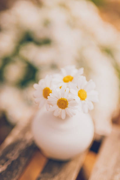 Little cute vase with white daisies and copy space for your Easter, spring or summer text message. Creative color editing. Very soft and selective focus.