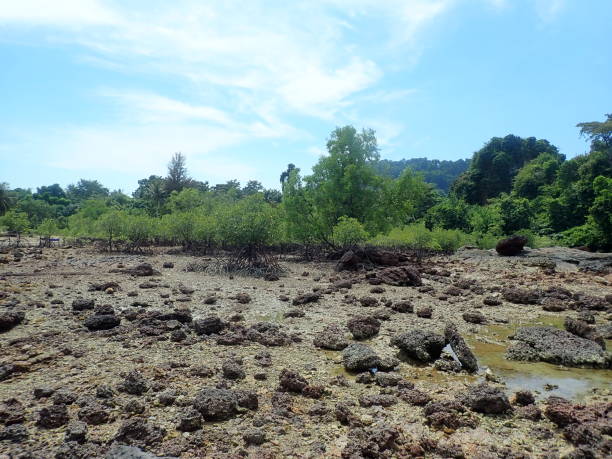 istock Bulone island in Thailand 1478067852