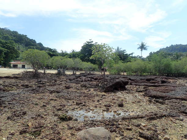 istock Bulone island in Thailand 1478067865