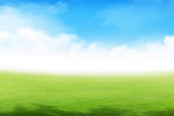 Lush green summer landscape with field and sky with clouds